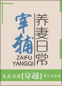 宰辅养妻日常 浣若君