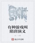 有种游戏叫隋唐演义叫什么