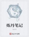 炼丹师心得笔记