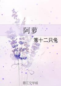 阿萝是段正淳