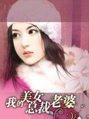 我的美女总裁老婆杨辰原版免费阅读