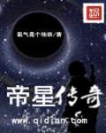 帝星传媒有限公司