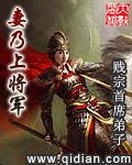 妻乃上将军全文阅读