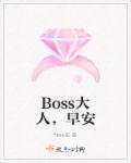 早安boss大人全文免费