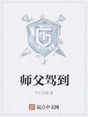 师父驾到蒋文端丁凡