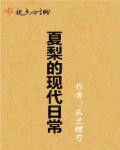 夏梨的现代日常好看吗