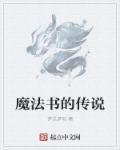 弓箭传说带什么魔法书