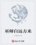 巫师自远方来txt精校版