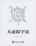 虚拟宇宙公司创始人什么等级