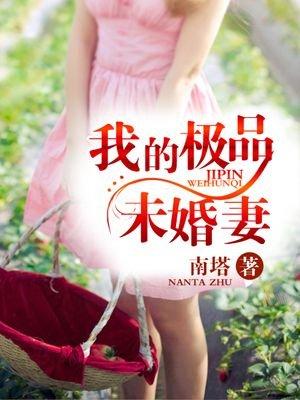 我的极品未婚妻总裁南塔