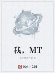 我mt2后期最强阵容