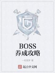 BOSS养成指南