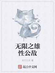 无限公敌黑暗剑士