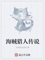 海贼王中的海贼猎人