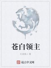 苍白领主 build 无冬