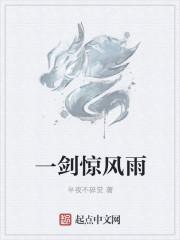 一剑惊鸿影是什么意思