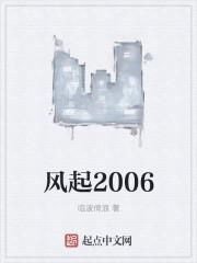 风起2005无错版