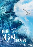 大海澎湃的视频