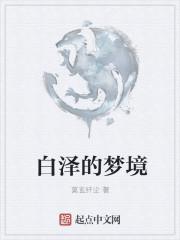 白泽的技能是什么?