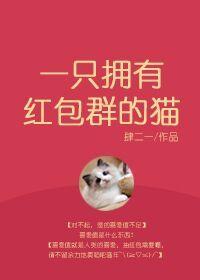 一只拥有红包群的猫无防盗