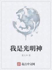 我是光明神斗罗之光明神