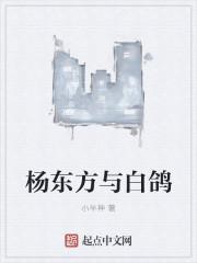 杨方东老师