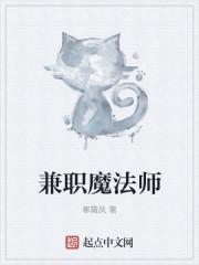 兼职魔法师能力