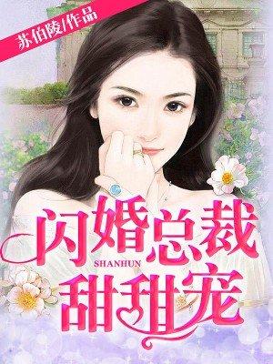 闪婚总裁甜甜宠TXT