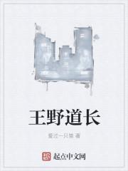 王野道长的叫什么名字