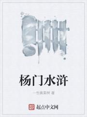 杨门水浒TXT