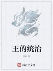 王的统治h