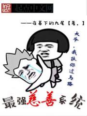 慈善救助系统