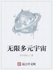 无限多元宇宙级之上