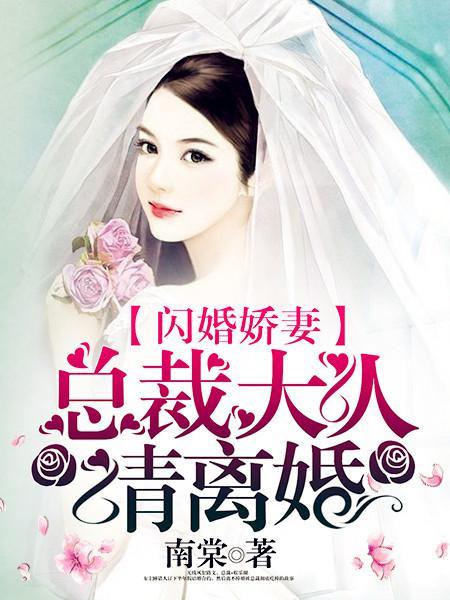 闪婚娇妻总裁大人请离婚正文