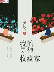 我的男神收藏家 电视剧