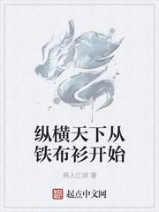 纵横天下从铁布衫开始好看吗