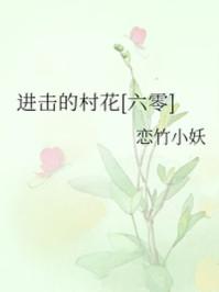 进击的村花穿书