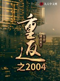 重生之2004起点