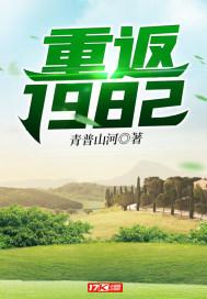 重返1982小渔村在线阅读