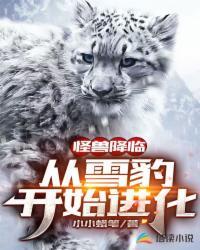 雪豹之无敌将军