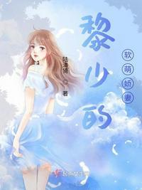 闪婚蜜宠黎少晚安