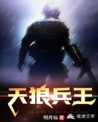 天狼兵王完整版