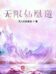 无限仙凰道无错版