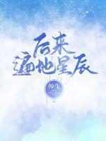 后来的星光