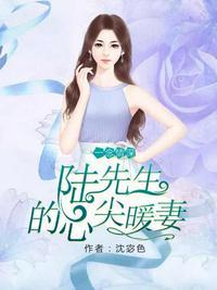 陆先生盛宠心尖妻