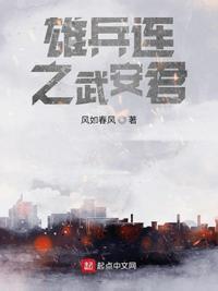 雄兵连之武安君txt