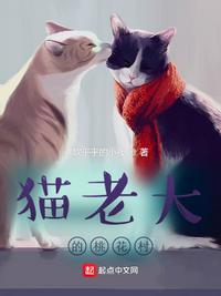 猫老大任务值得做吗