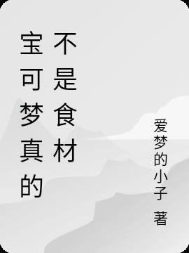 宝可梦正统