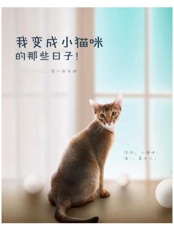 我变成了小猫作文400字