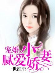 隐婚大叔甜宠小娇妻完整版